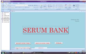 Database Entry Form